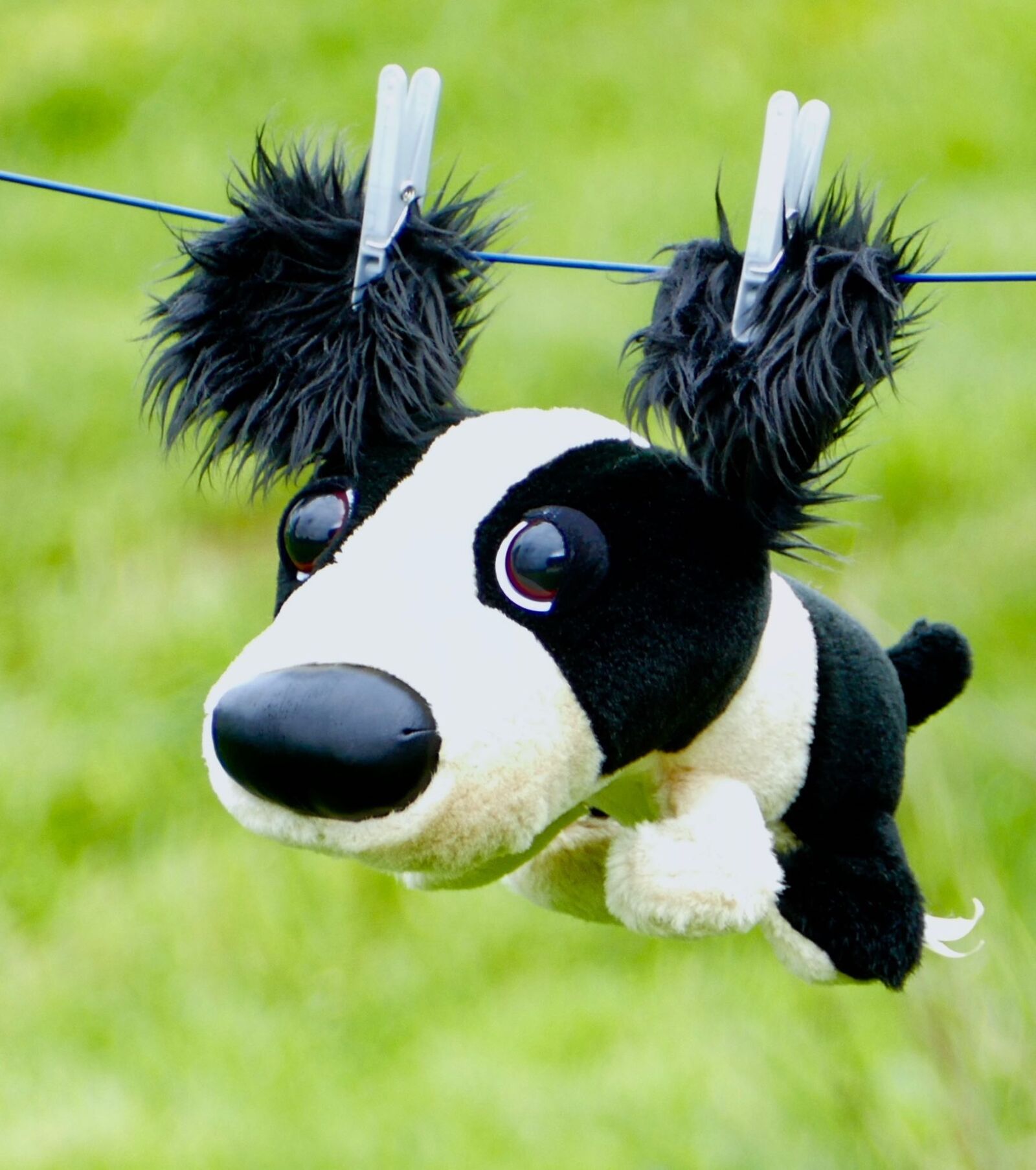 Panasonic Lumix DMC-FZ1000 sample photo. Plush, dog, wire photography