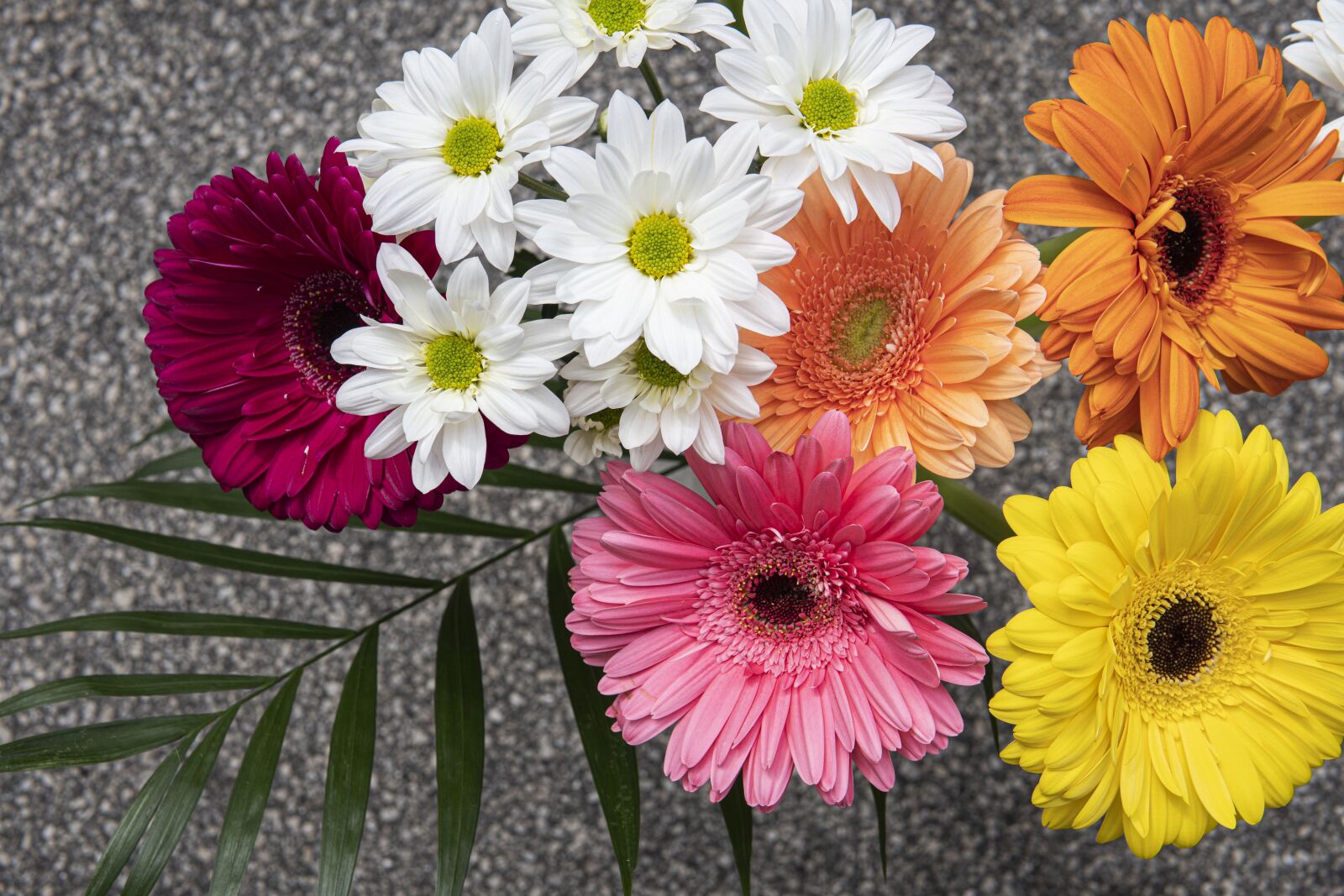 30mm F1.4 DC DN | Contemporary 016 sample photo. Flowers, bouquet, petals photography