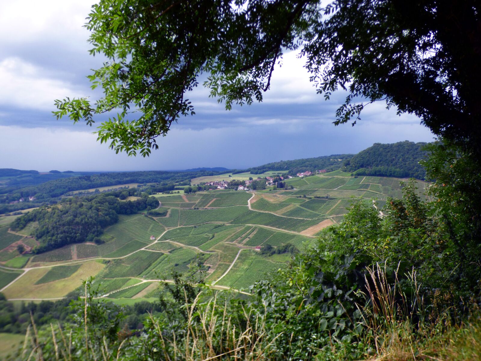 Panasonic DMC-FZ72 sample photo. Jura, vineyard, arbois photography