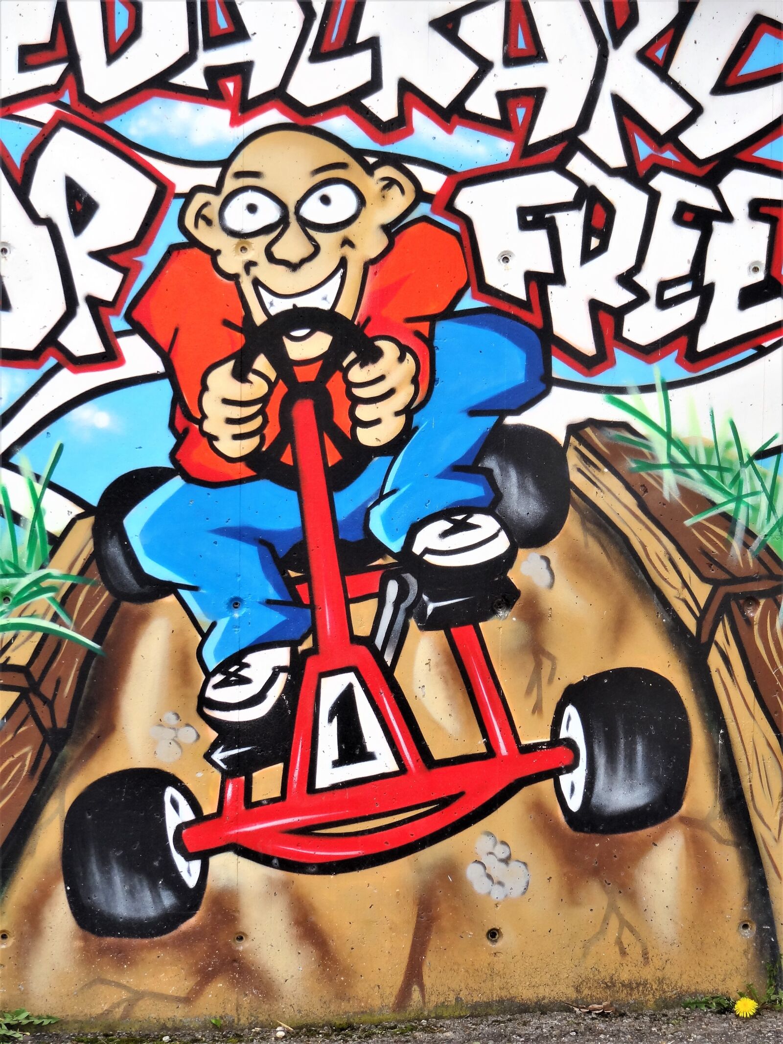 Sony Cyber-shot DSC-HX9V sample photo. Mural, graffiti, street art photography
