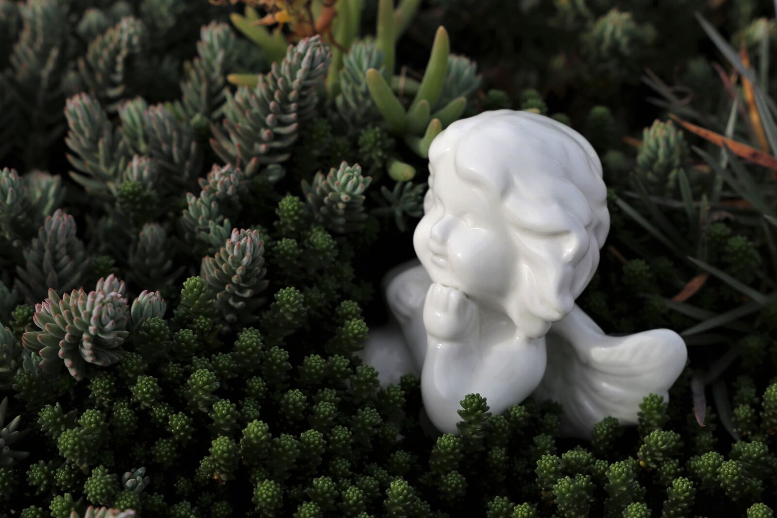 Canon EF 24-105mm F3.5-5.6 IS STM sample photo. White angel, figure, spiritual photography