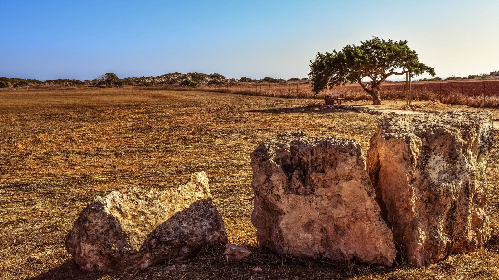 Nikon D3300 sample photo. Rocks, tree, landscape photography