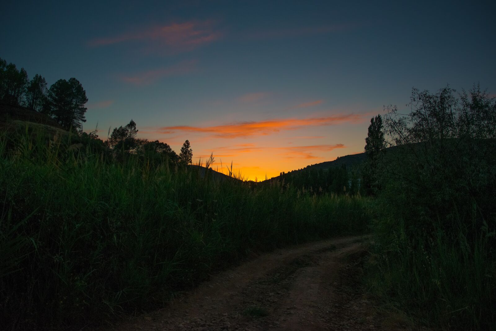 Nikon D5300 sample photo. Sunset, path photography
