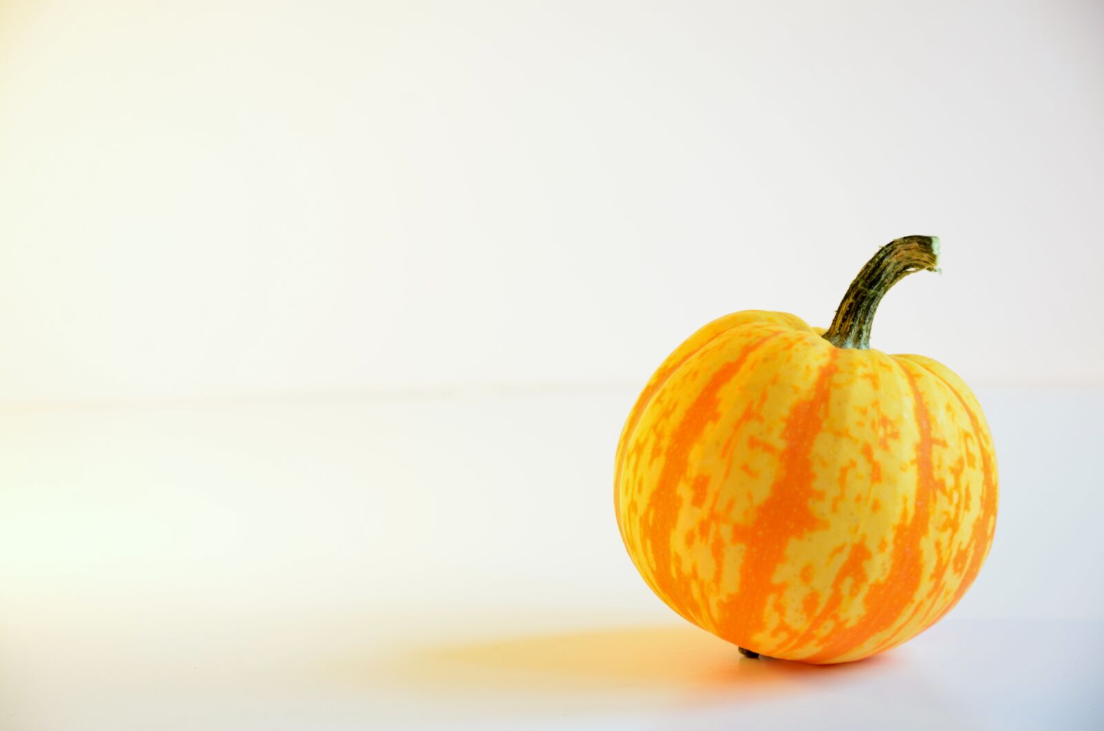 Nikon D7000 sample photo. Pumpkin, fall, food photography