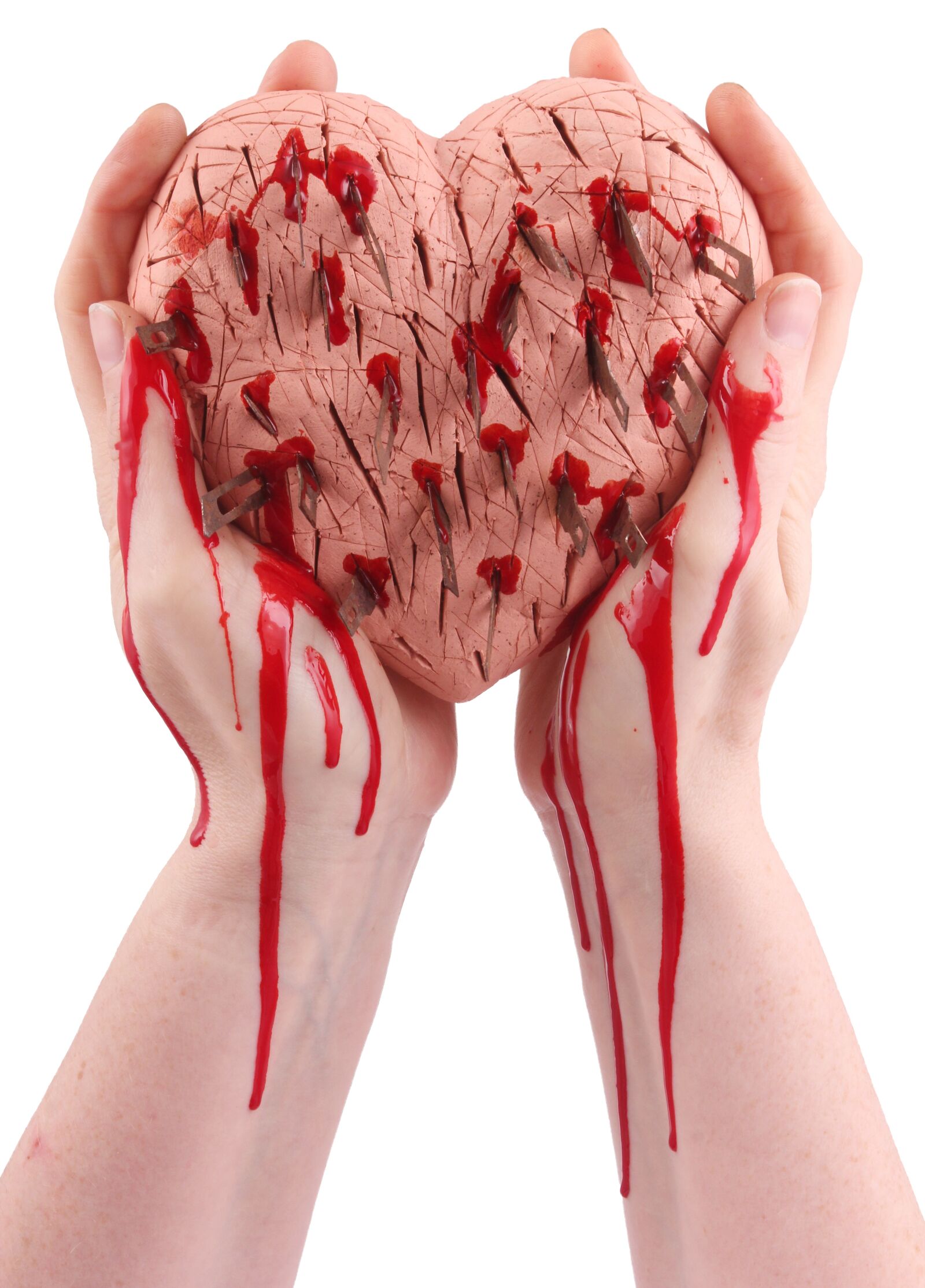 Canon EOS 550D (EOS Rebel T2i / EOS Kiss X4) sample photo. Heart, injuries, violations photography