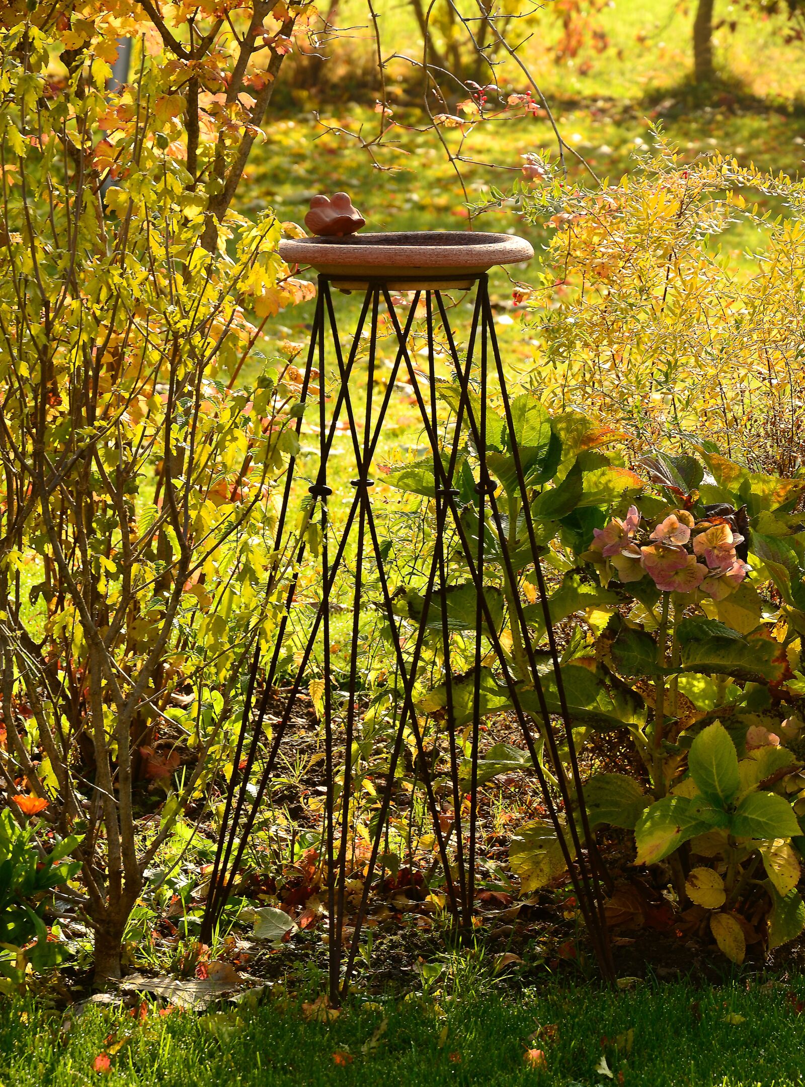 Nikon D7000 sample photo. Country garden, lighting, late photography