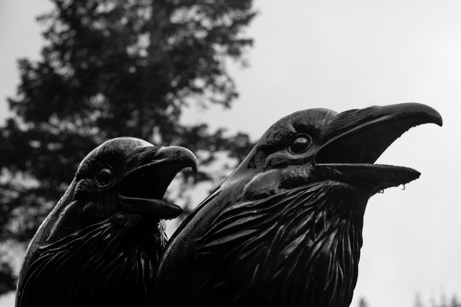 Nikon D3400 sample photo. Pacific, northwest, west coast photography