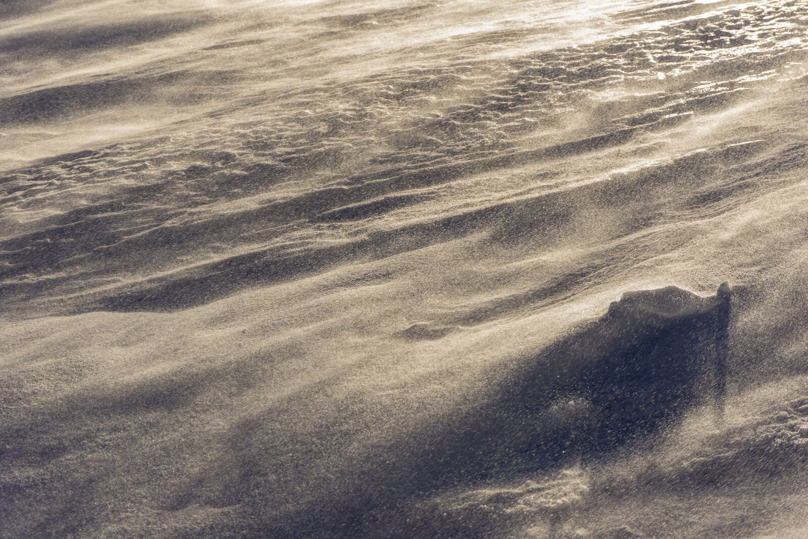 Sony a6000 sample photo. Snow, winter, nature photography