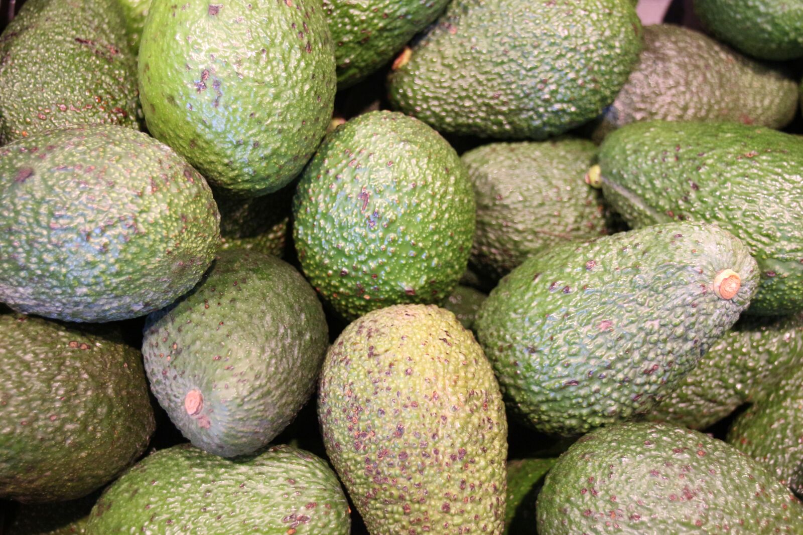 Canon EOS 650D (EOS Rebel T4i / EOS Kiss X6i) sample photo. Avocado, avocados, green photography