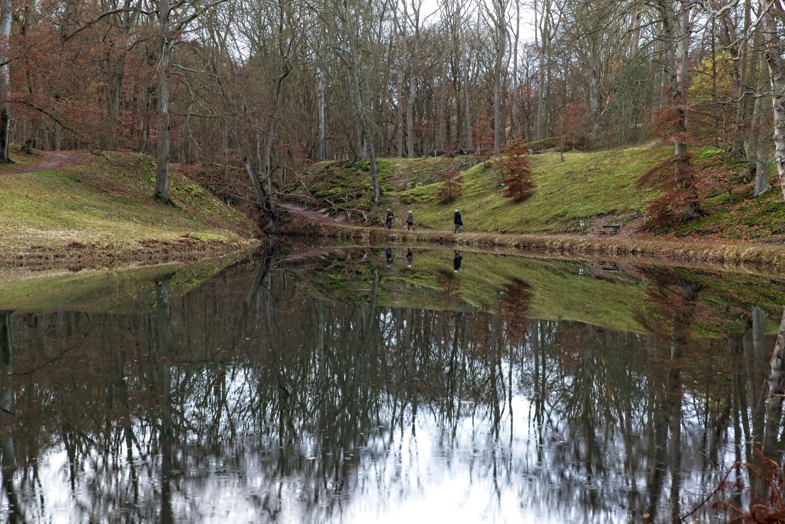 Canon EOS 6D Mark II sample photo. Pond, nature, trees photography