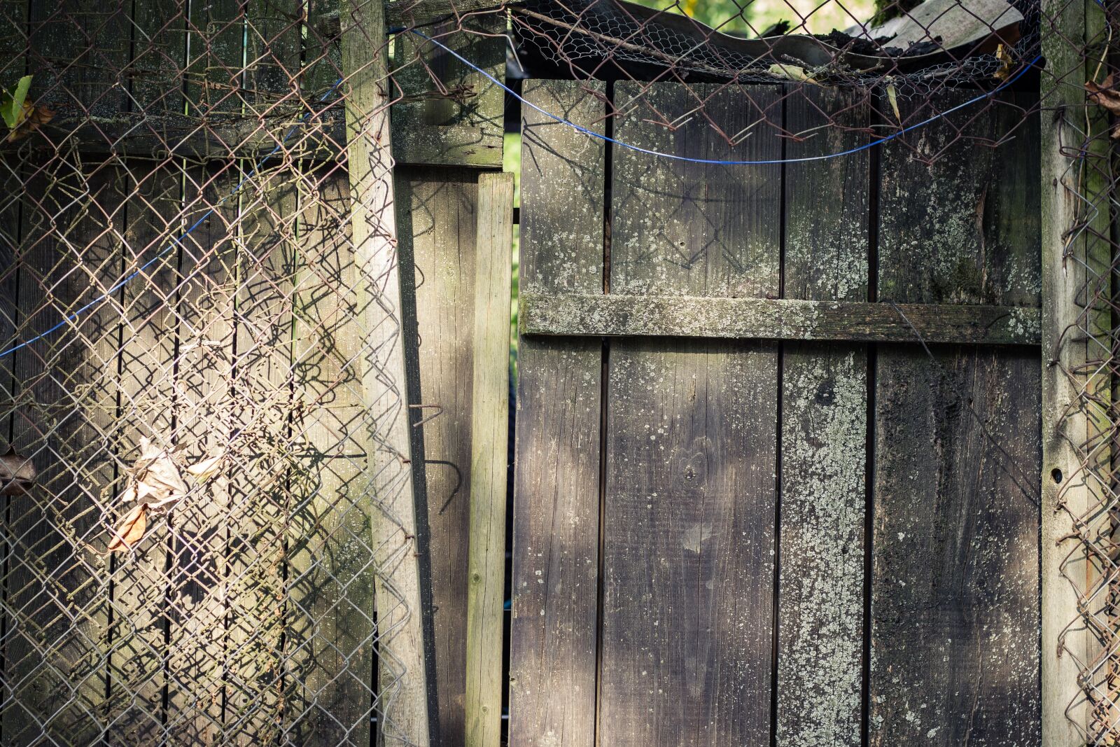 Canon EOS 700D (EOS Rebel T5i / EOS Kiss X7i) + Canon EF 50mm F1.8 STM sample photo. Door, wooden door, fence photography