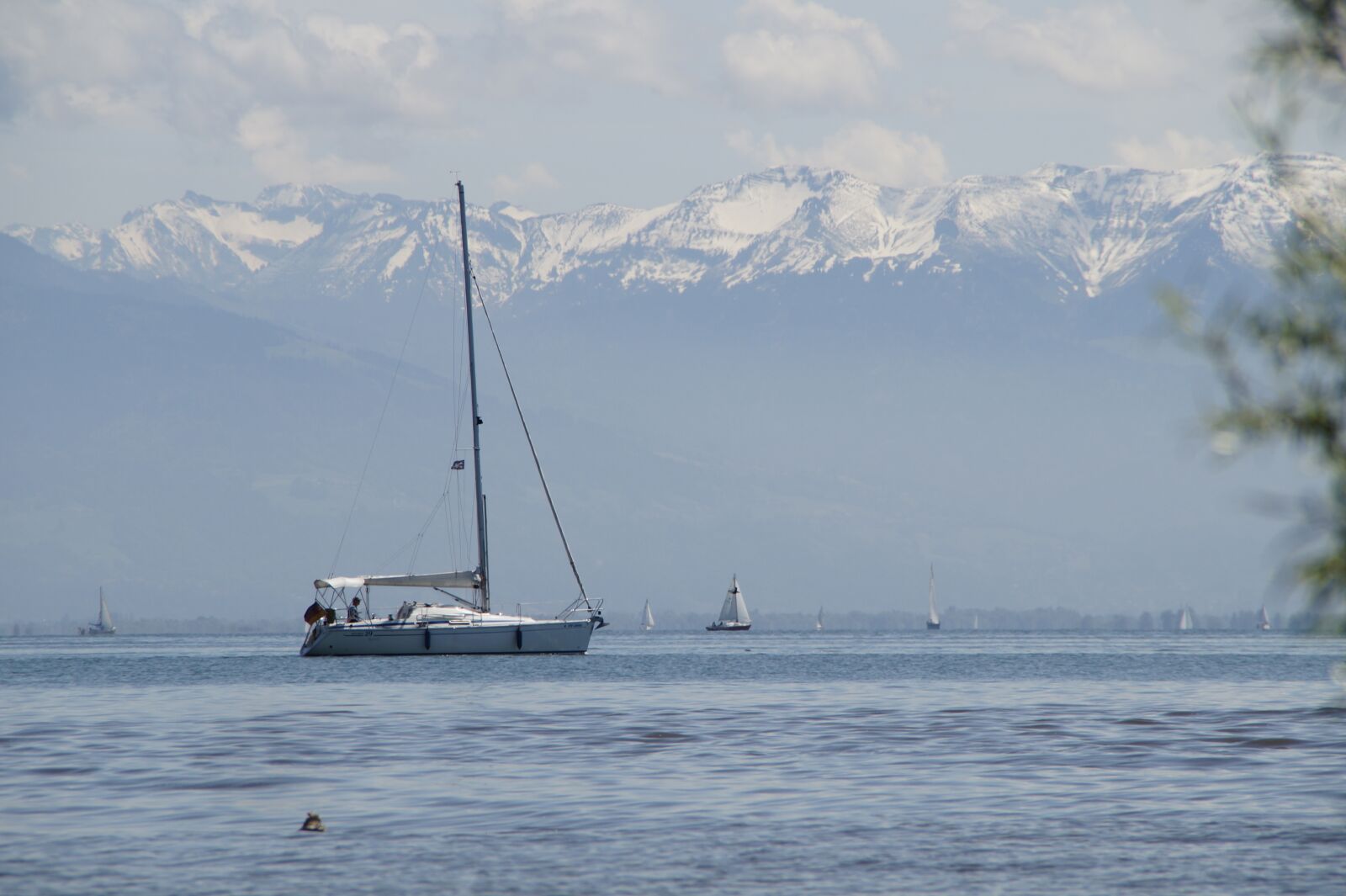 Sony SLT-A58 sample photo. Sailing ships, lake constance photography