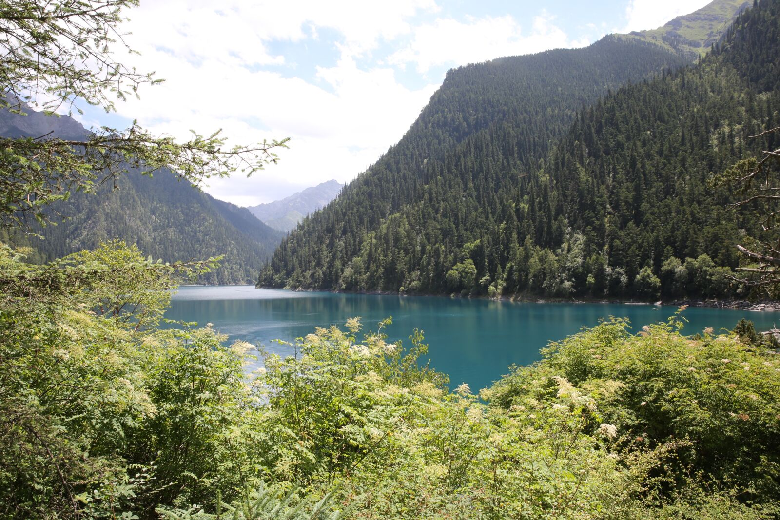 Canon EF 24-70mm F2.8L II USM sample photo. Jiuzhaigou, water, tree photography