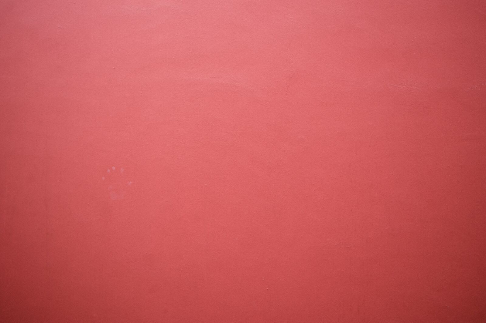 Nikon D3 sample photo. Red, wall, background photography