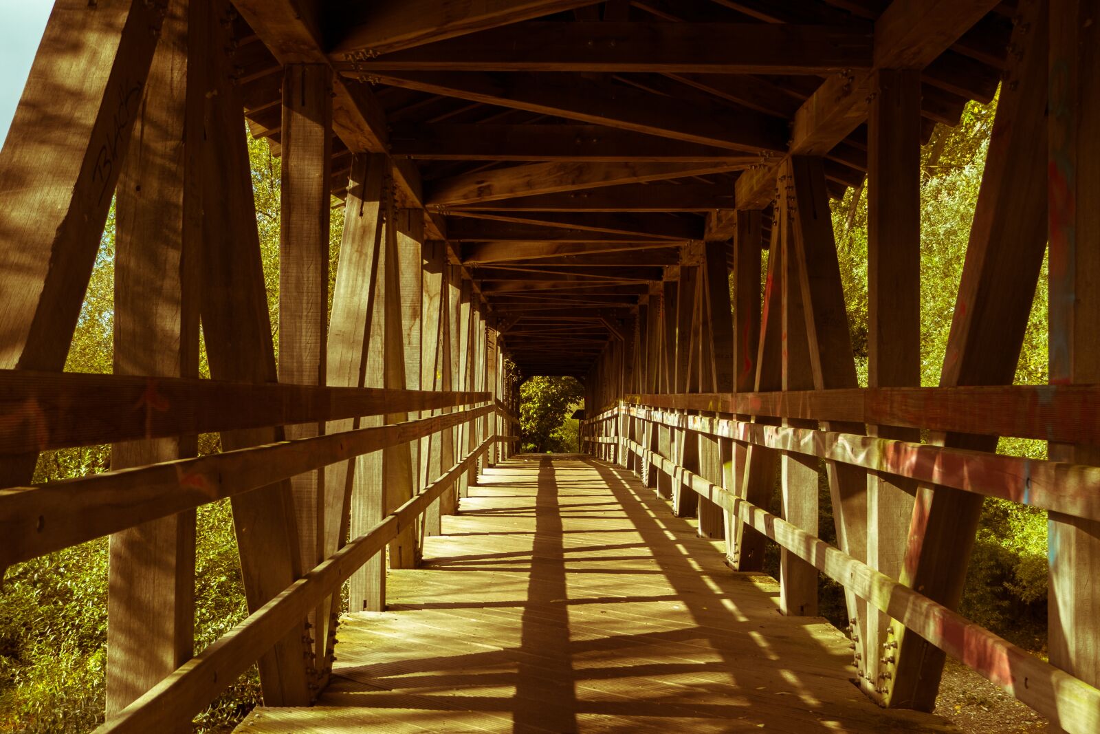 Canon PowerShot G3 X sample photo. Bridge, wooden bridge, railing photography
