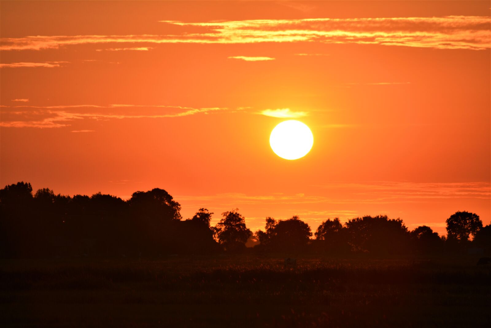 Nikon D5200 sample photo. Sunset, rheiderland include a photography