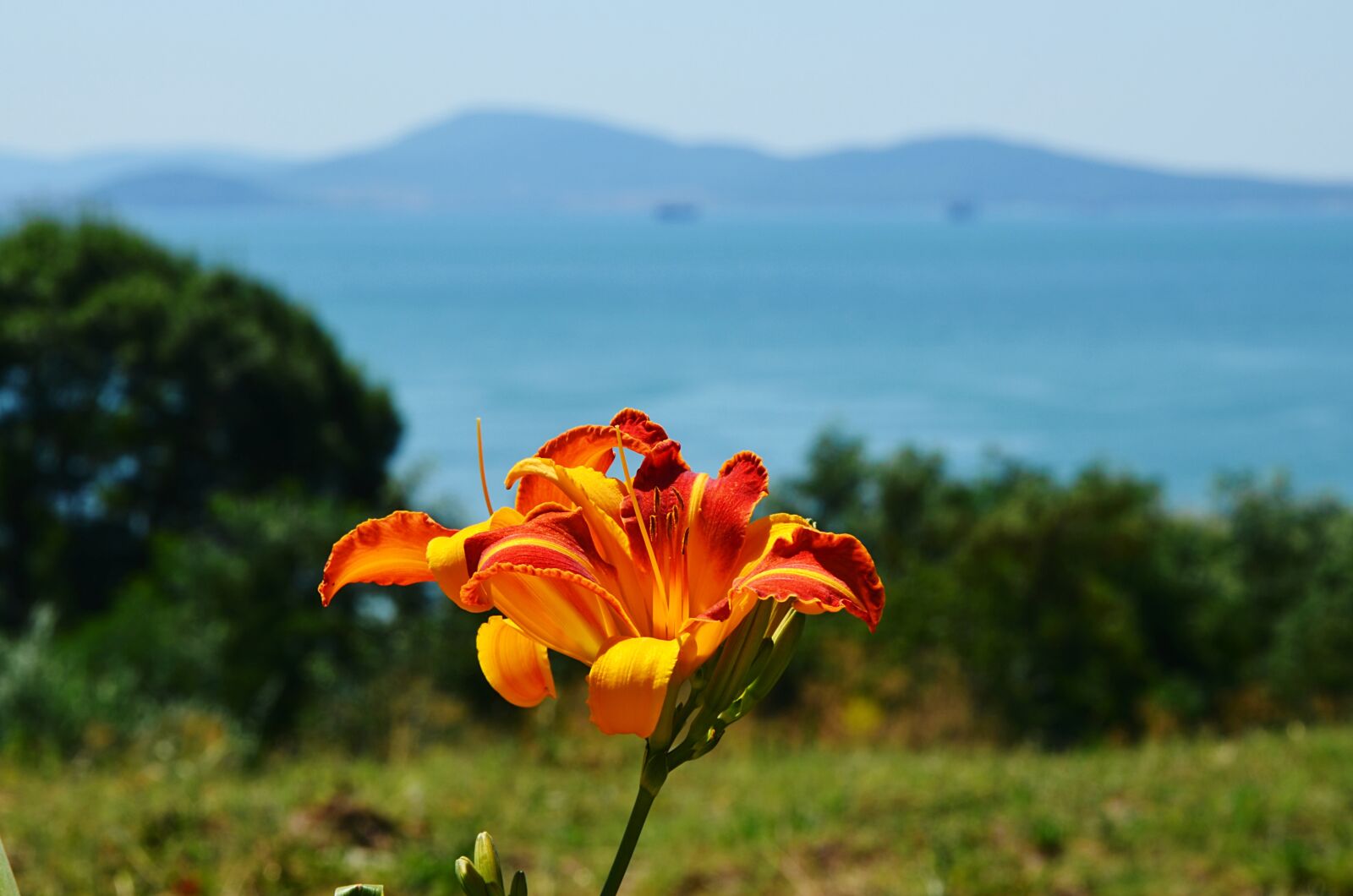 Nikon D5100 sample photo. Bulgaria, sea, burgas photography