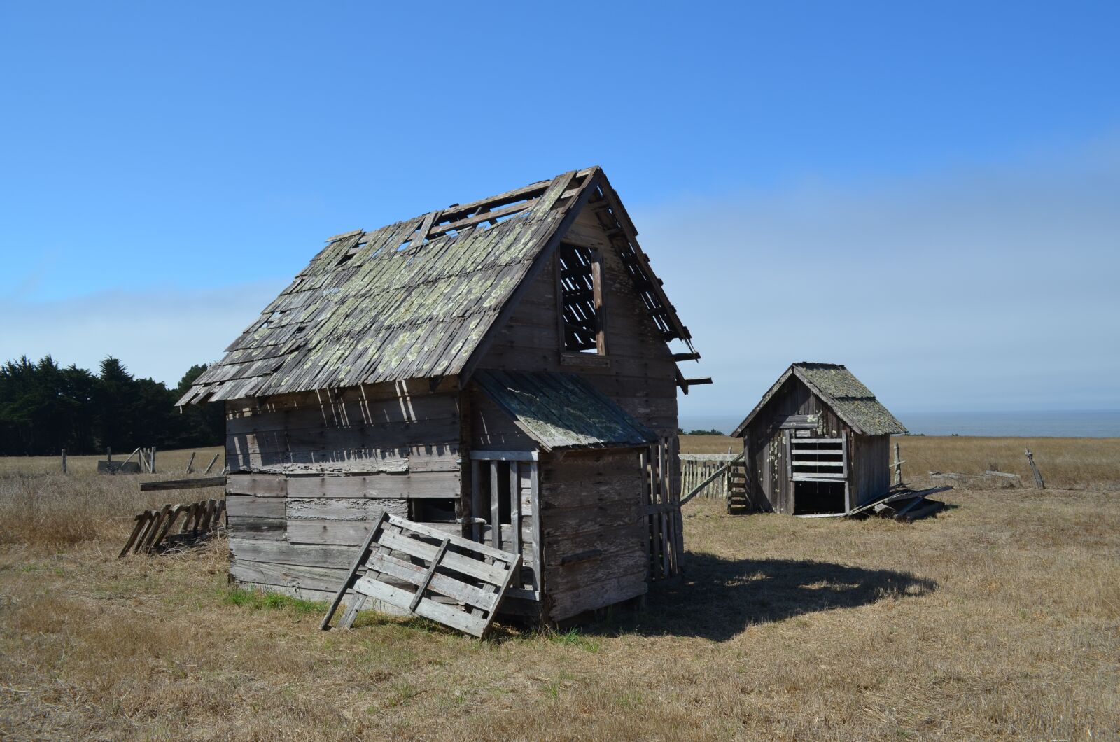 Nikon D5100 sample photo. Chicken, coop, farm photography