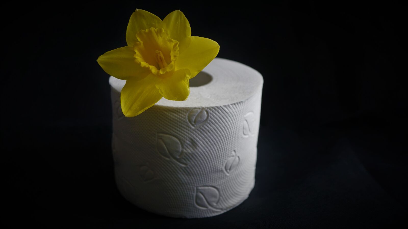Sony E 30mm F3.5 Macro sample photo. Toilet paper roll, toilet photography