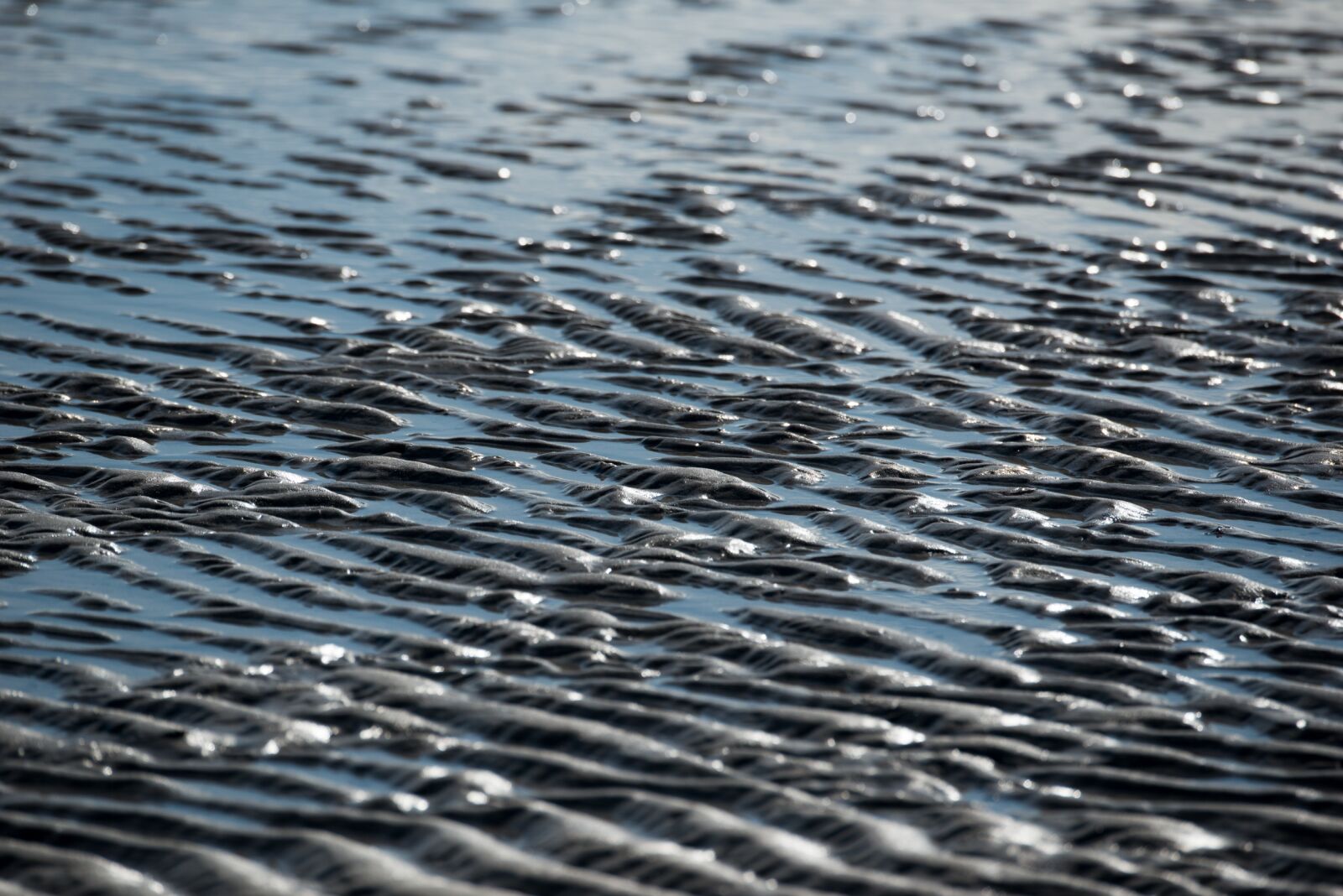 Nikon D800 sample photo. Beach, sand, sea photography