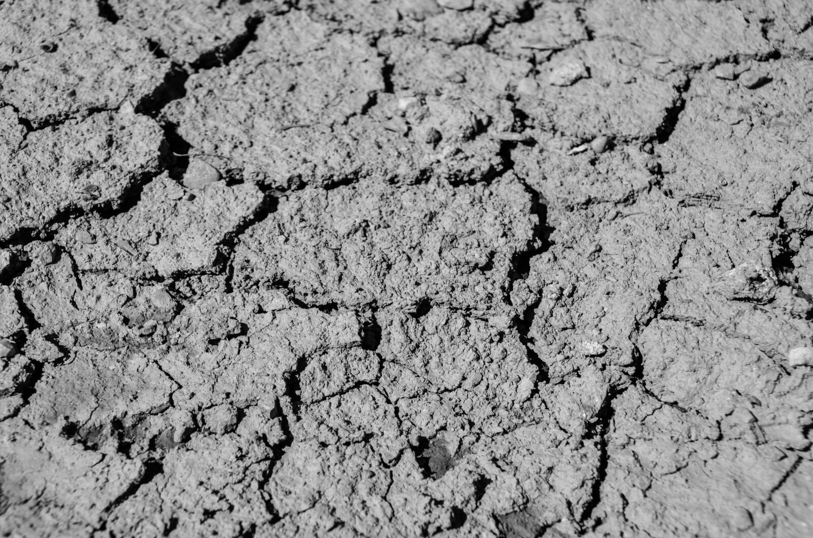 Nikon D7000 sample photo. Lack of rain, dry photography