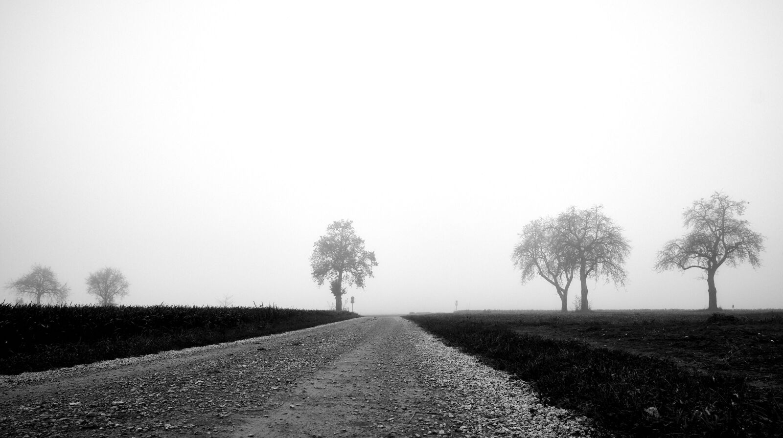 Fujifilm XF 18-55mm F2.8-4 R LM OIS sample photo. Lane, trees, kahl photography