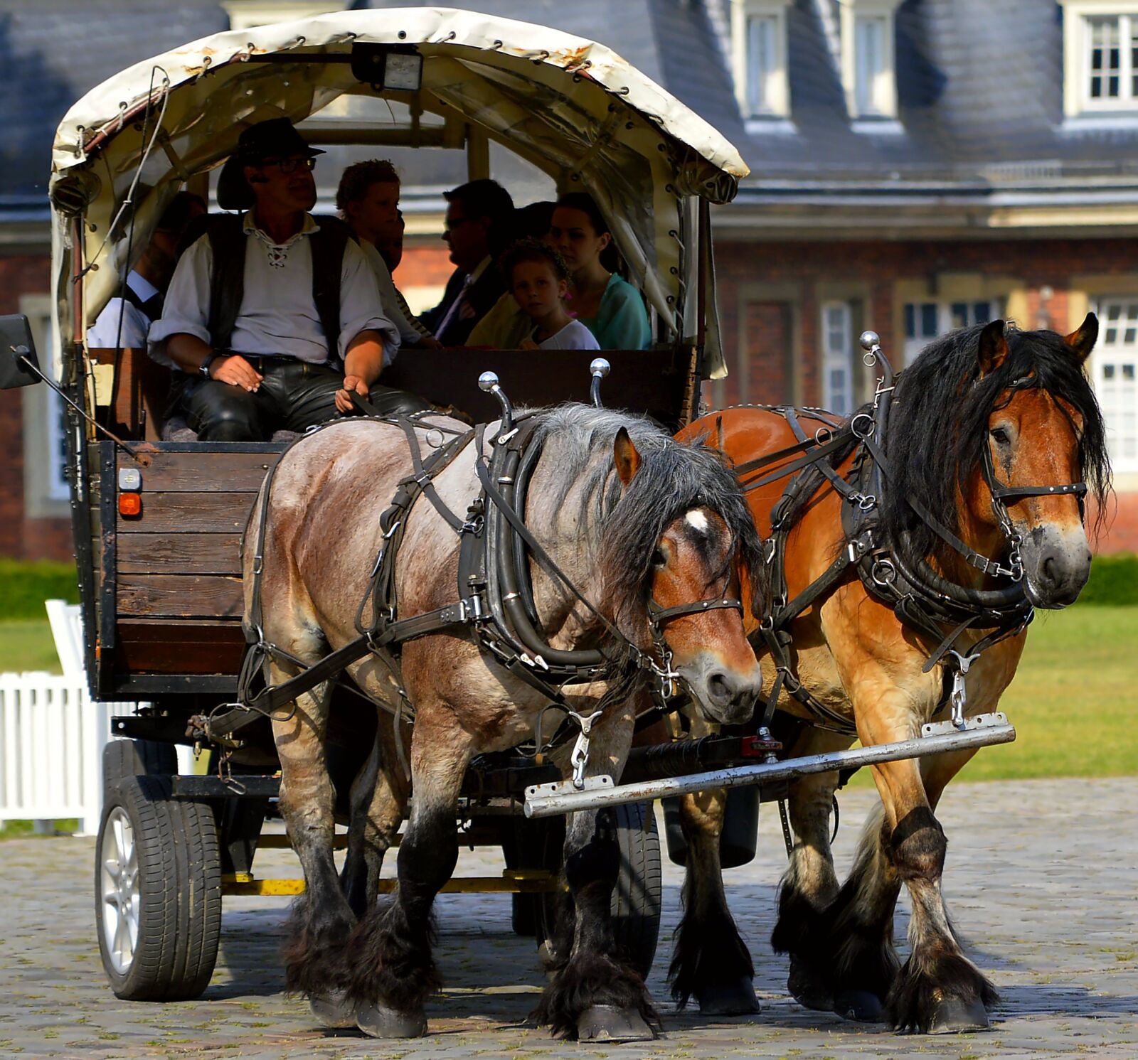 Nikon D3200 sample photo. Horse drawn carriage, drag photography