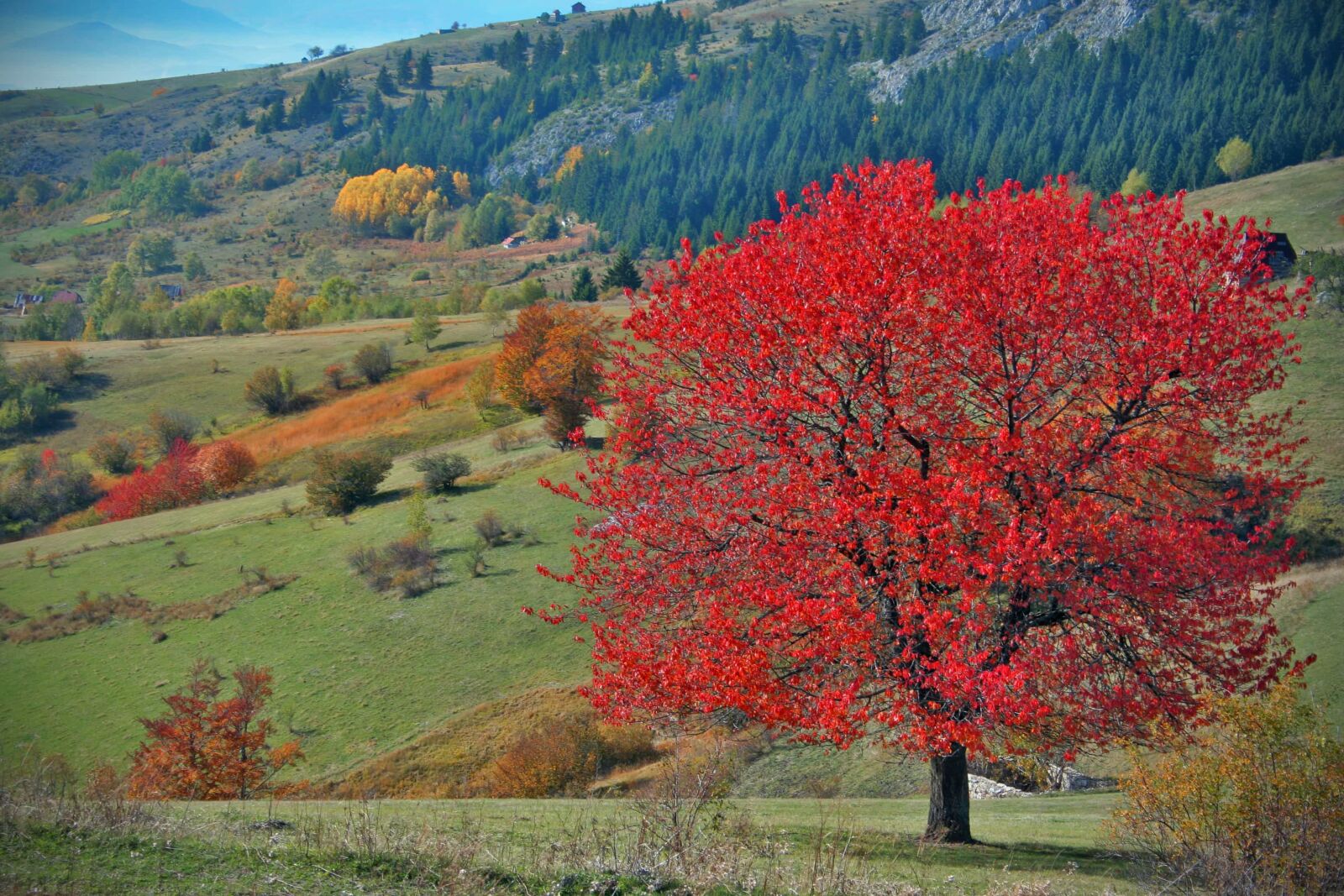 Canon EOS 350D (EOS Digital Rebel XT / EOS Kiss Digital N) sample photo. Autumn season, bosnia and photography