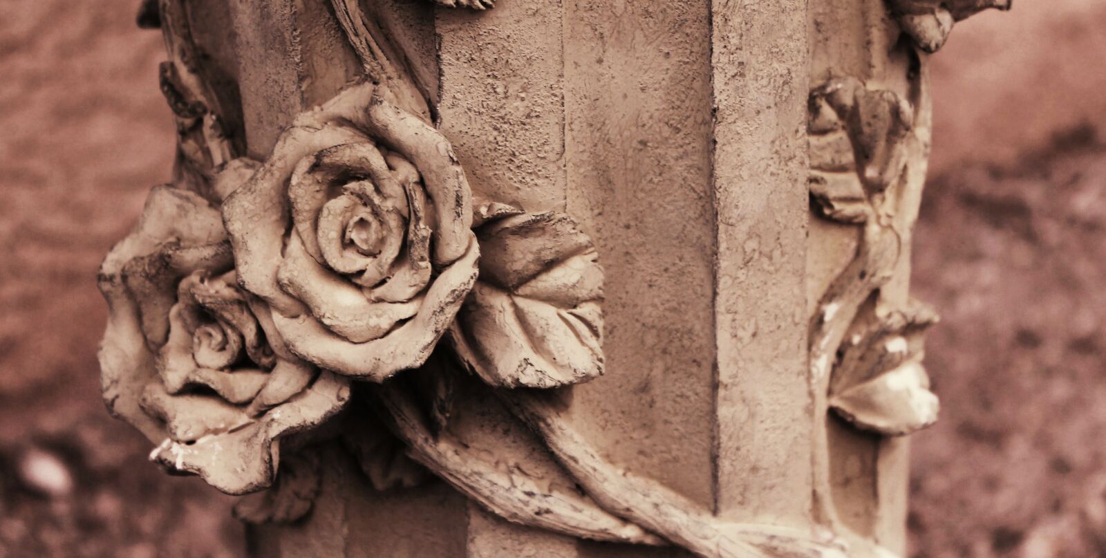 Canon EOS 1100D (EOS Rebel T3 / EOS Kiss X50) sample photo. Sepia, garden statue, statue photography