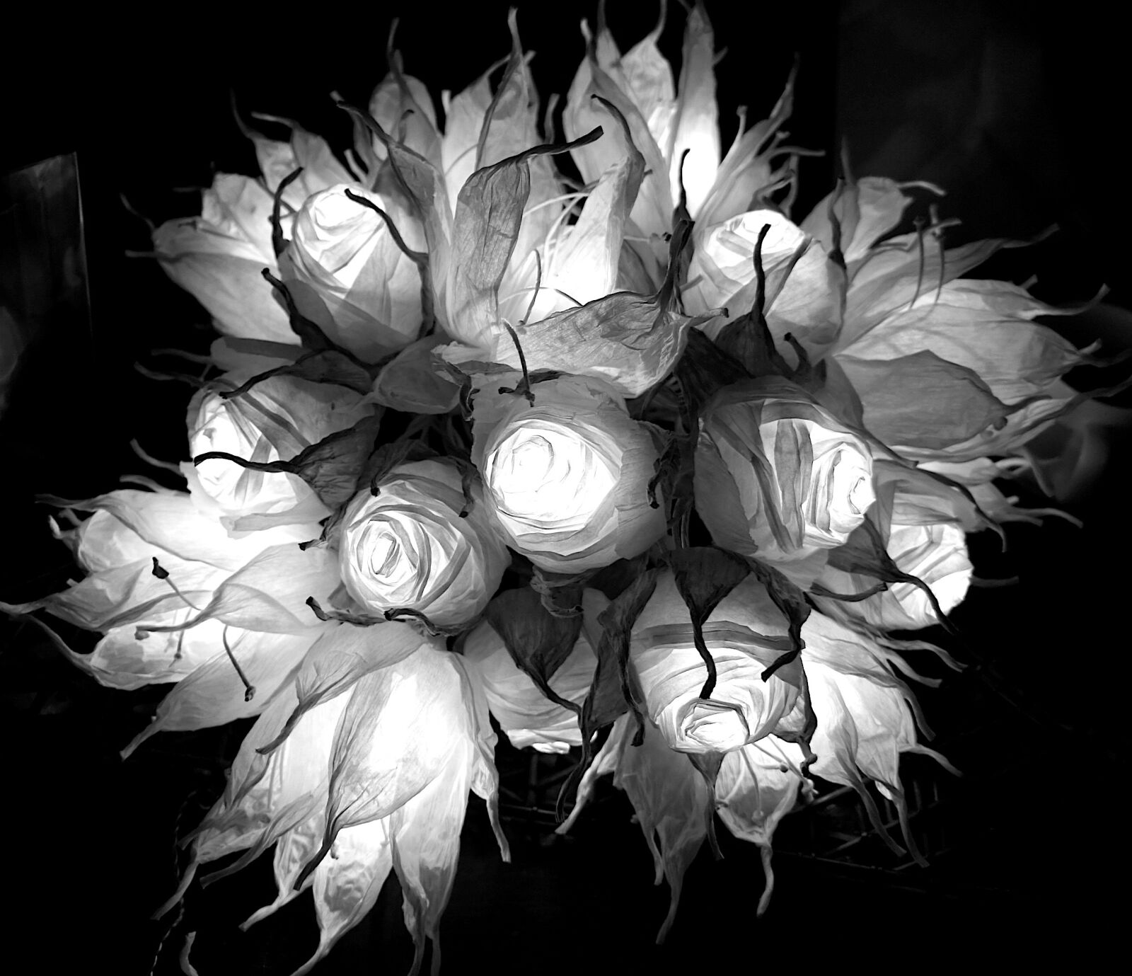 Sony Alpha NEX-5 sample photo. Artificial flowers, arrangement, paper photography