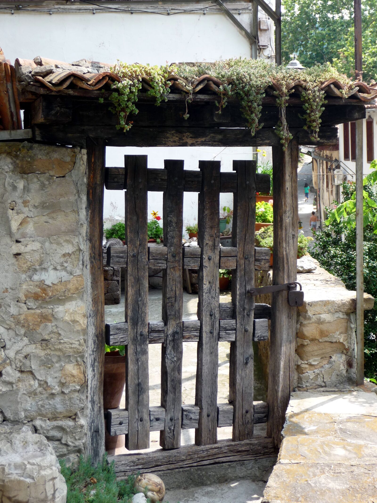 Panasonic Lumix DMC-TZ5 sample photo. Door, wood, wooden door photography