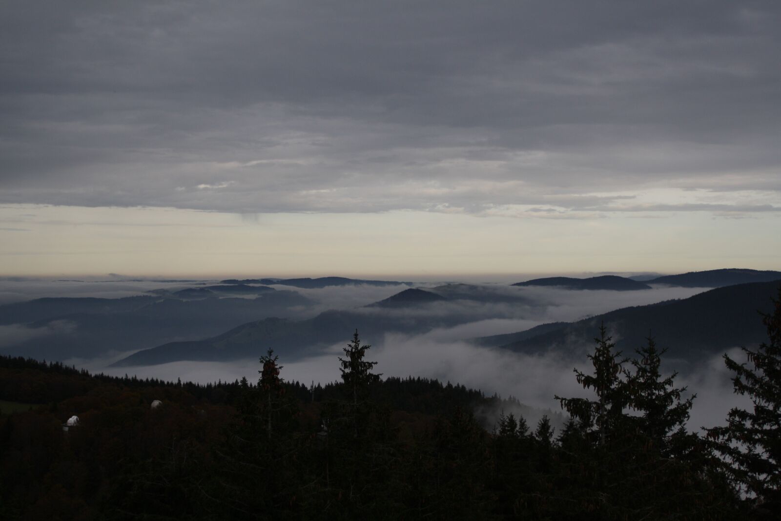 Canon EOS 1000D (EOS Digital Rebel XS / EOS Kiss F) sample photo. Fog, winter, landscape photography