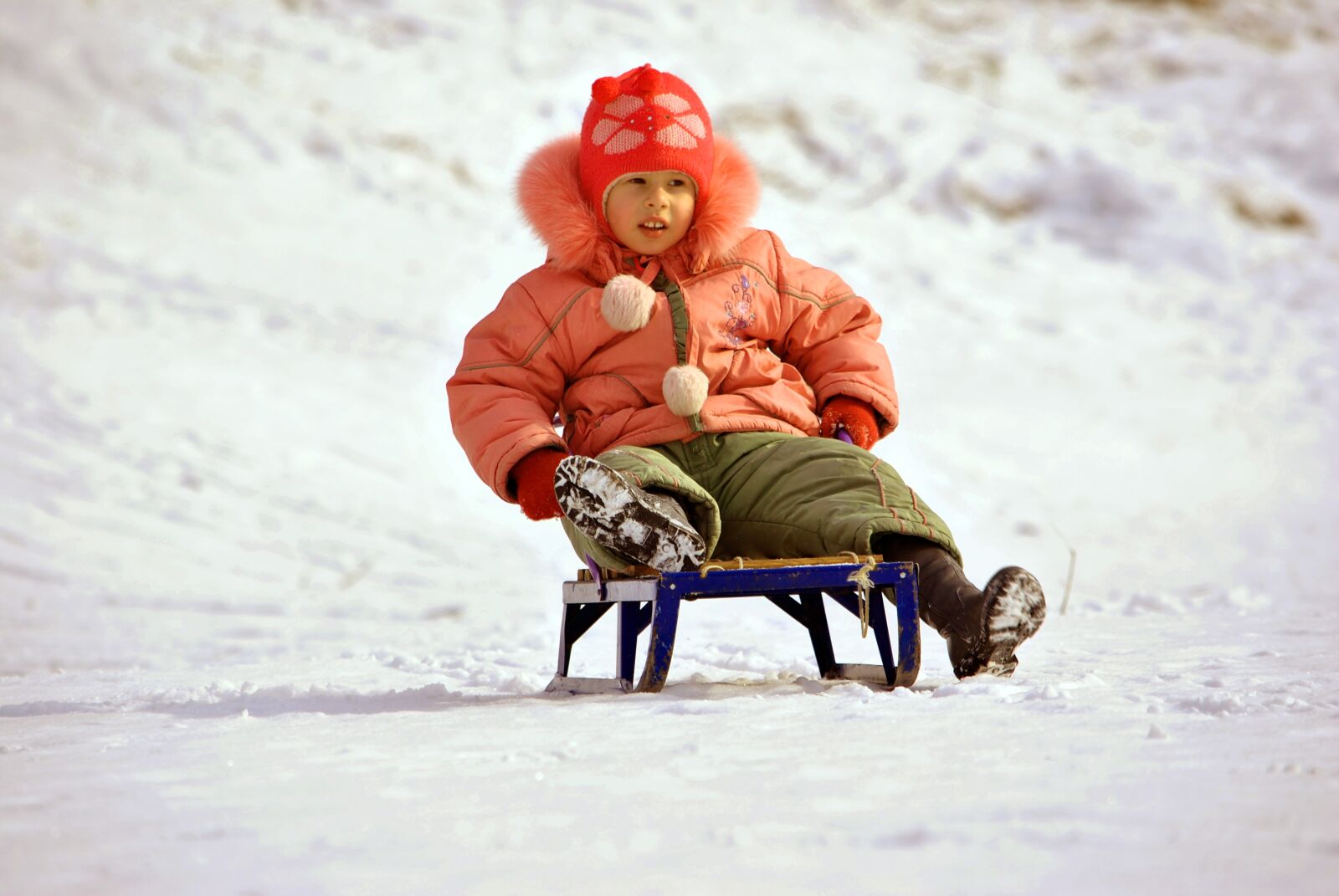 Nikon D3000 sample photo. Girl, riding, sled photography