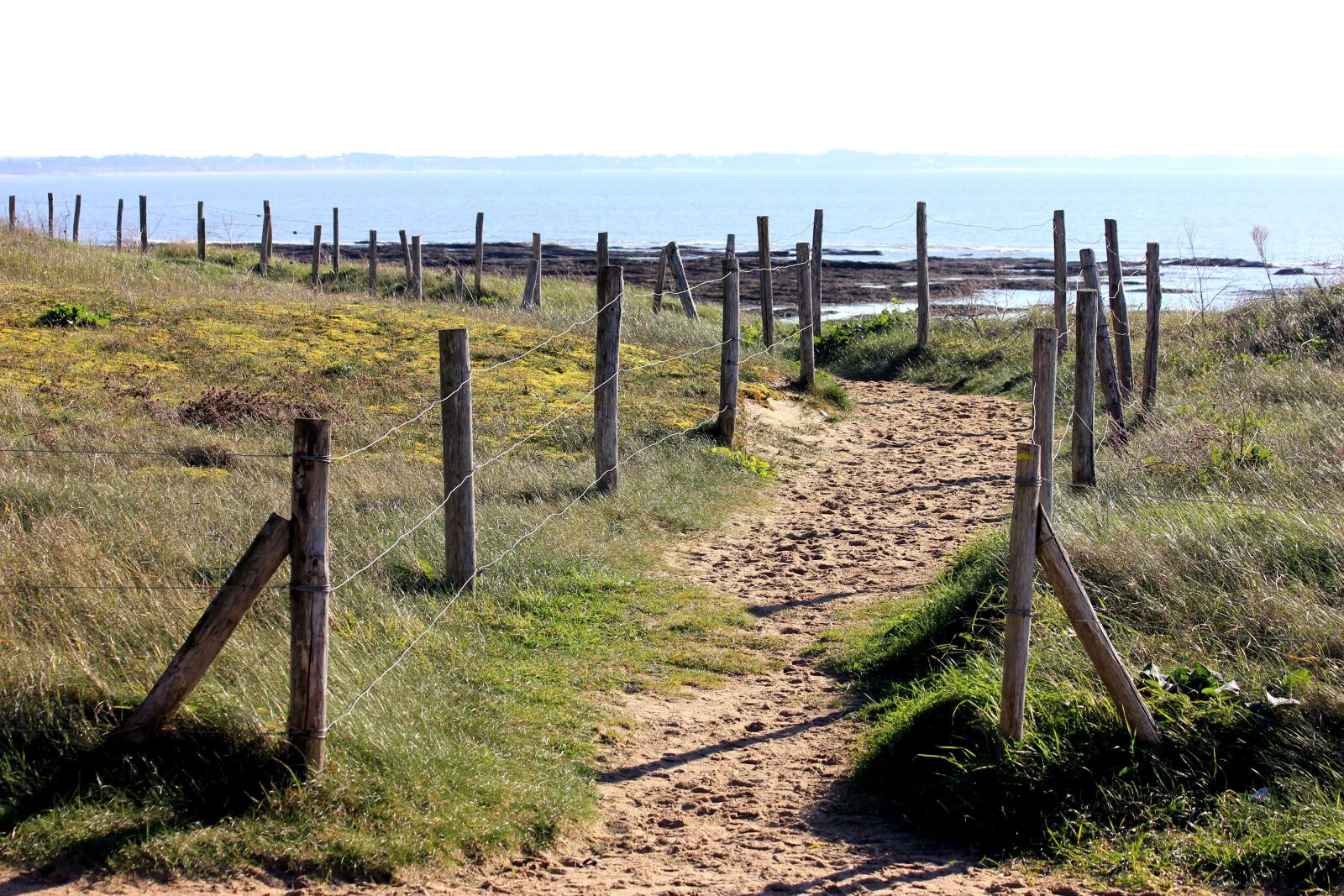 Canon EOS 550D (EOS Rebel T2i / EOS Kiss X4) sample photo. Brittany, borders of the photography