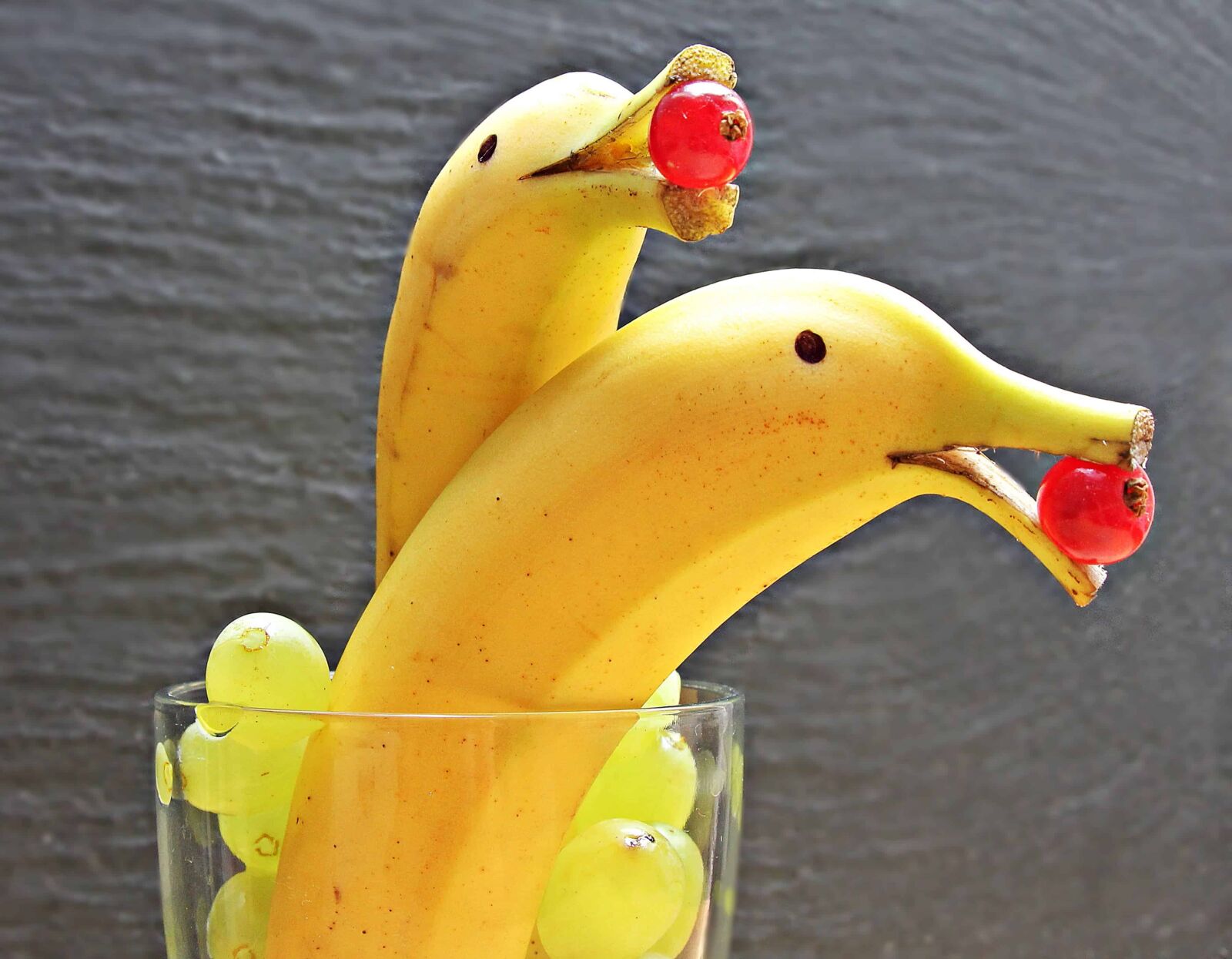 Canon EOS 550D (EOS Rebel T2i / EOS Kiss X4) sample photo. Banana, fruit, art, dolphin photography