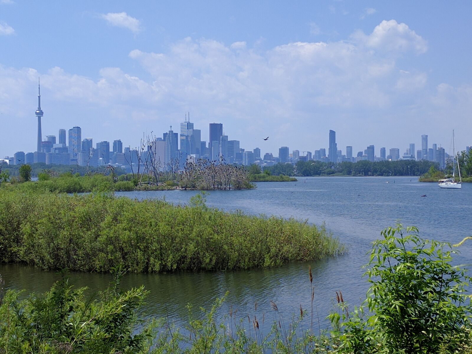 Google Nexus 6P sample photo. Tony thompson park, toronto photography