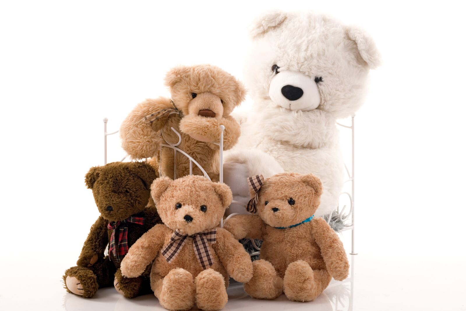 Nikon D800 sample photo. Family, group, teddy bear photography