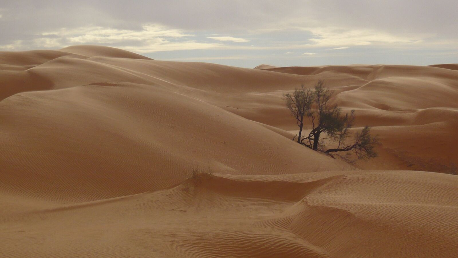 Panasonic DMC-FX10 sample photo. Tunisia, desert, sand photography