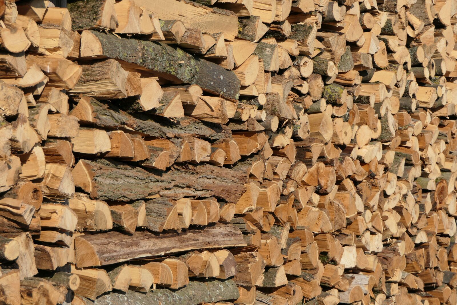 Panasonic Lumix DMC-FZ2500 (Lumix DMC-FZ2000) sample photo. Holzstapel, wood, firewood photography