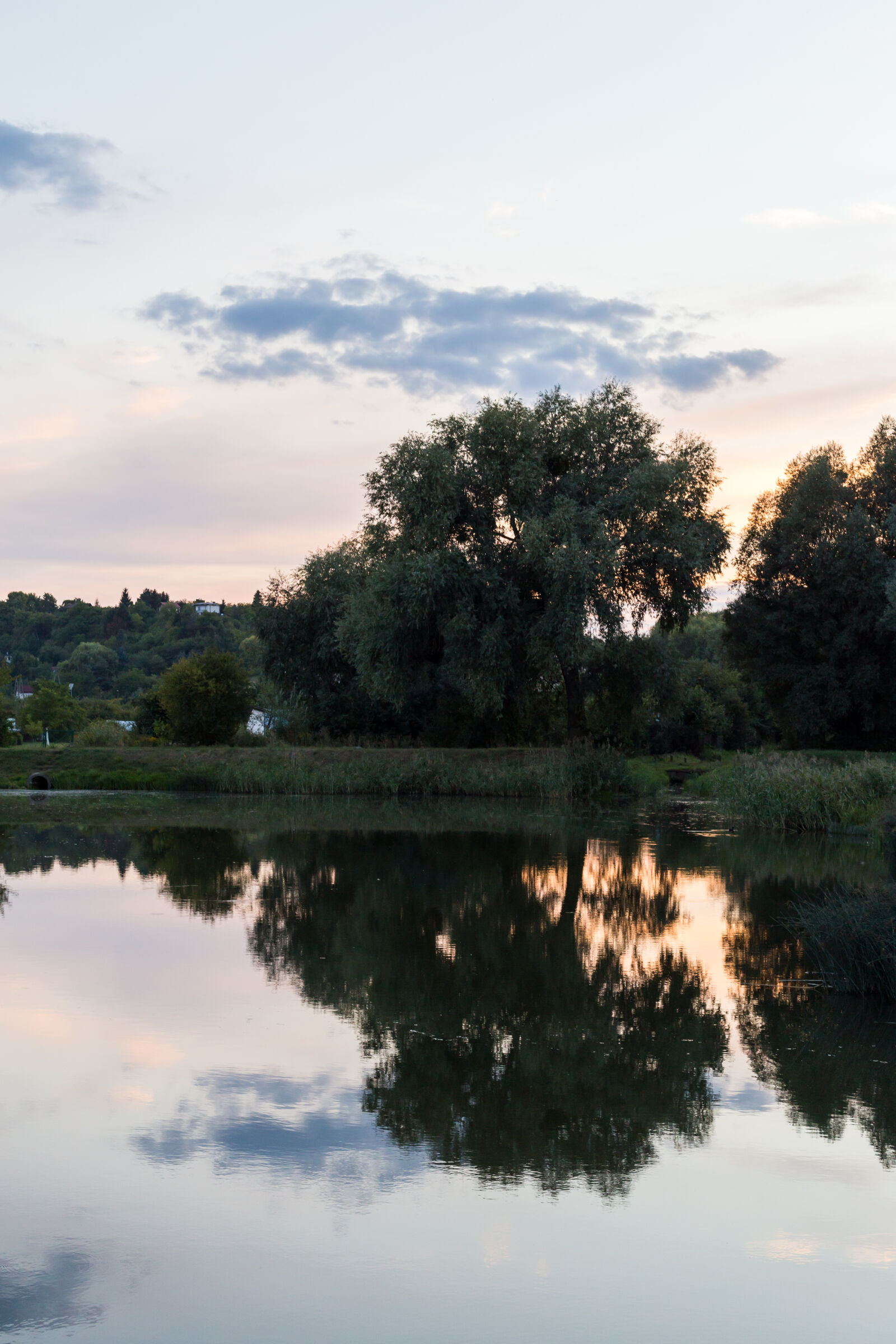 Canon EOS 6D + Canon EF 50mm F1.4 USM sample photo. Cloud, clouds, nature, pond photography
