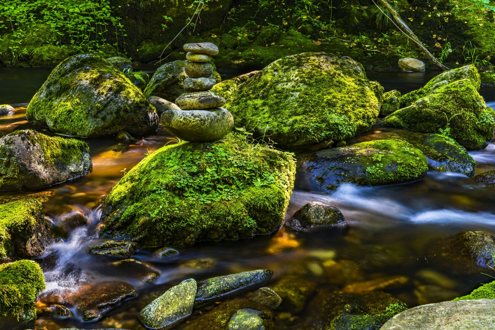 Sony a6300 + Sigma 30mm F2.8 EX DN sample photo. Water, river, nature photography