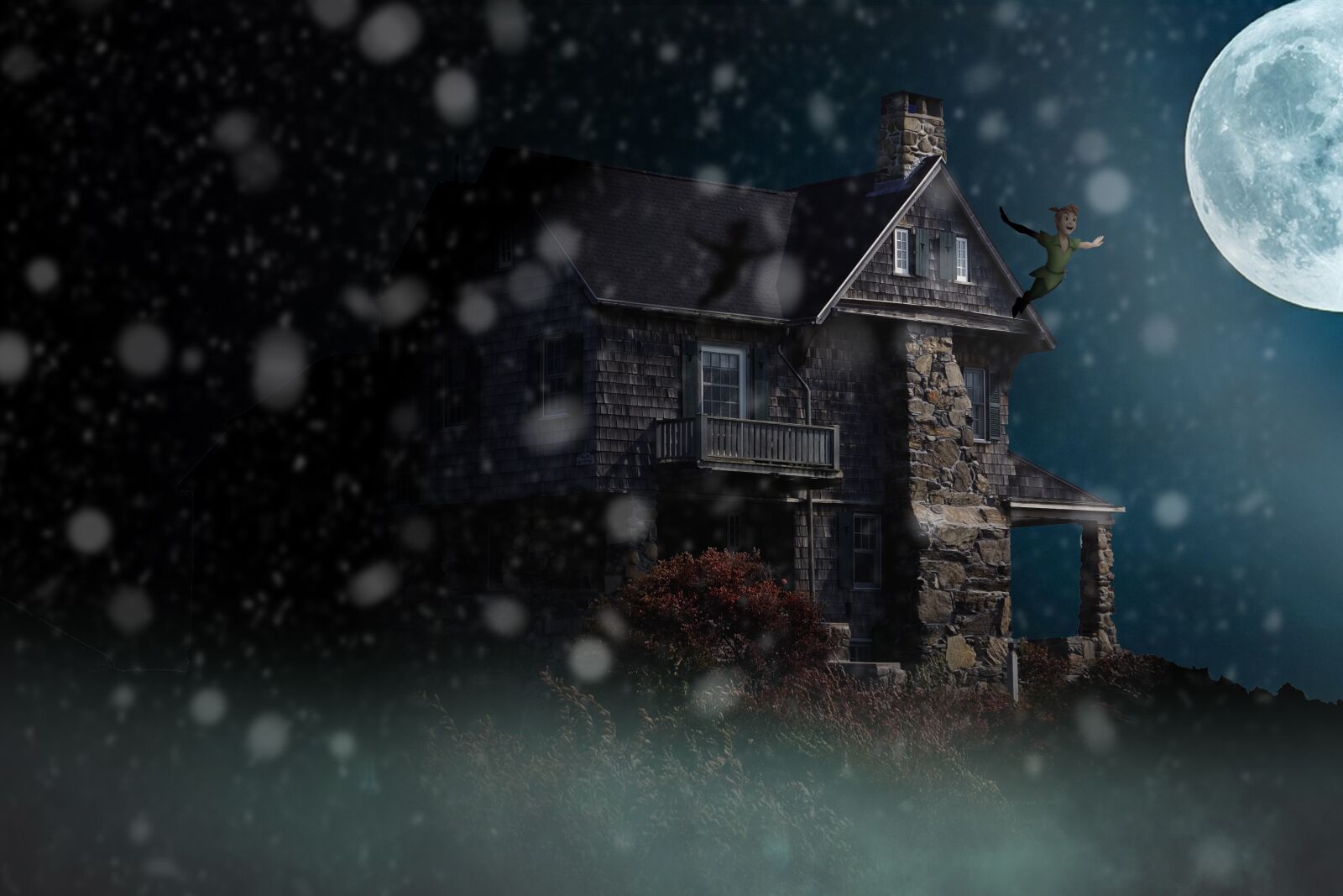 Canon EOS-1D Mark II sample photo. House, night, moon photography
