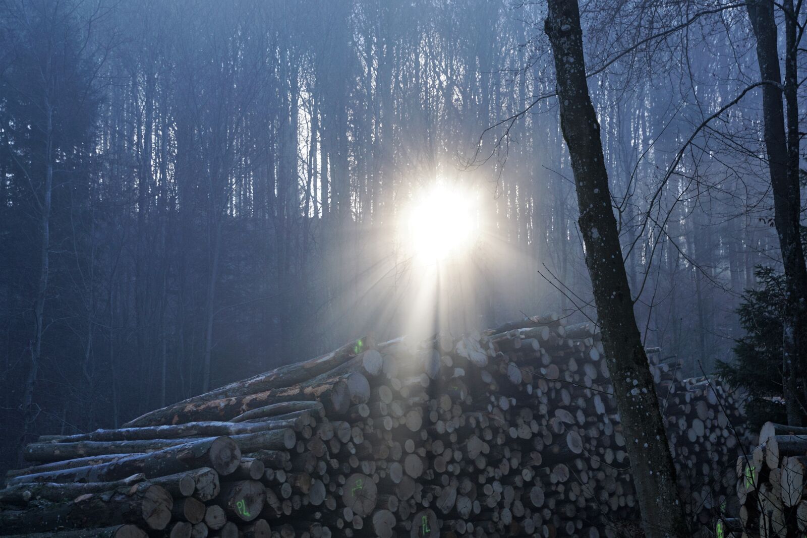 Sony ILCA-77M2 + Sony DT 16-50mm F2.8 SSM sample photo. Switzerland, mountains, nature photography