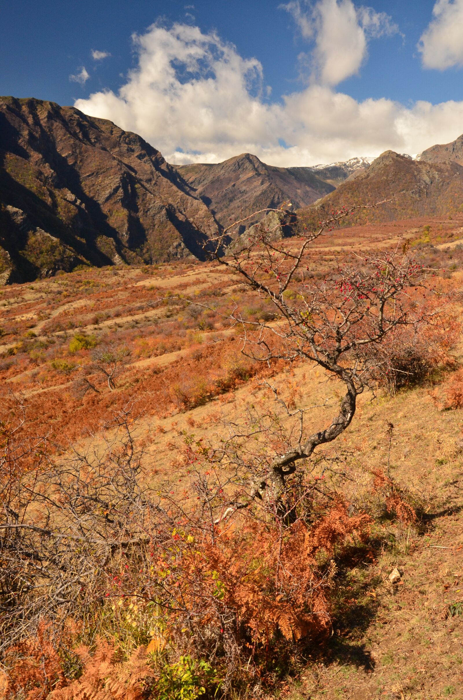 Nikon D7000 sample photo. Mountain, nature, landscape photography
