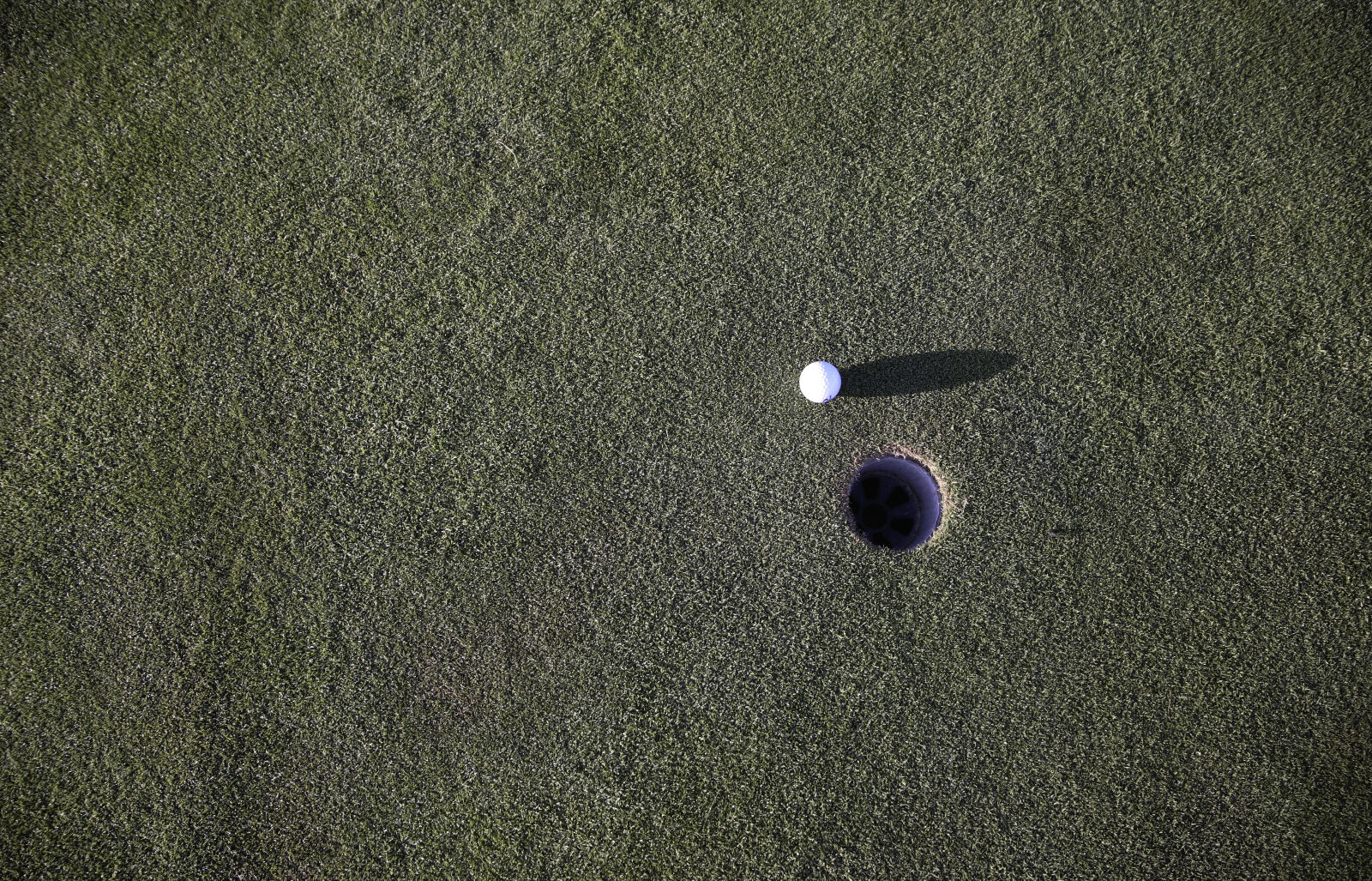 Canon EOS 5D sample photo. Texture, grass, sport, ball photography