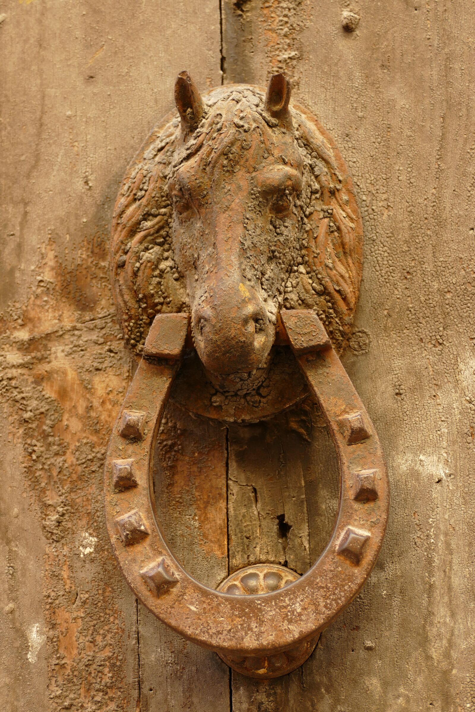Panasonic Lumix DMC-FZ1000 sample photo. Knocker, door knocker, horse photography