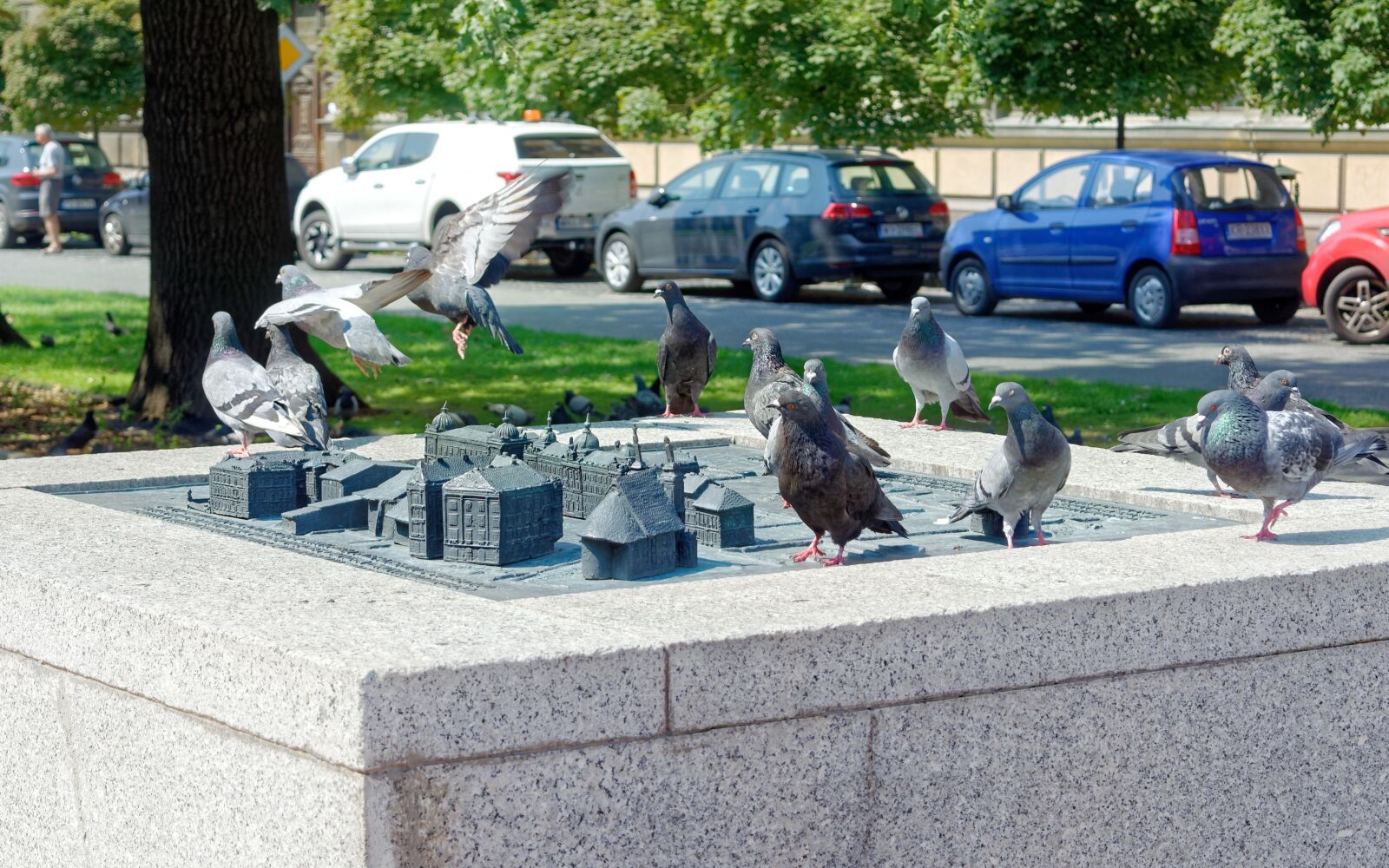 Nikon D5100 sample photo. Birds, pigeons, sitting photography