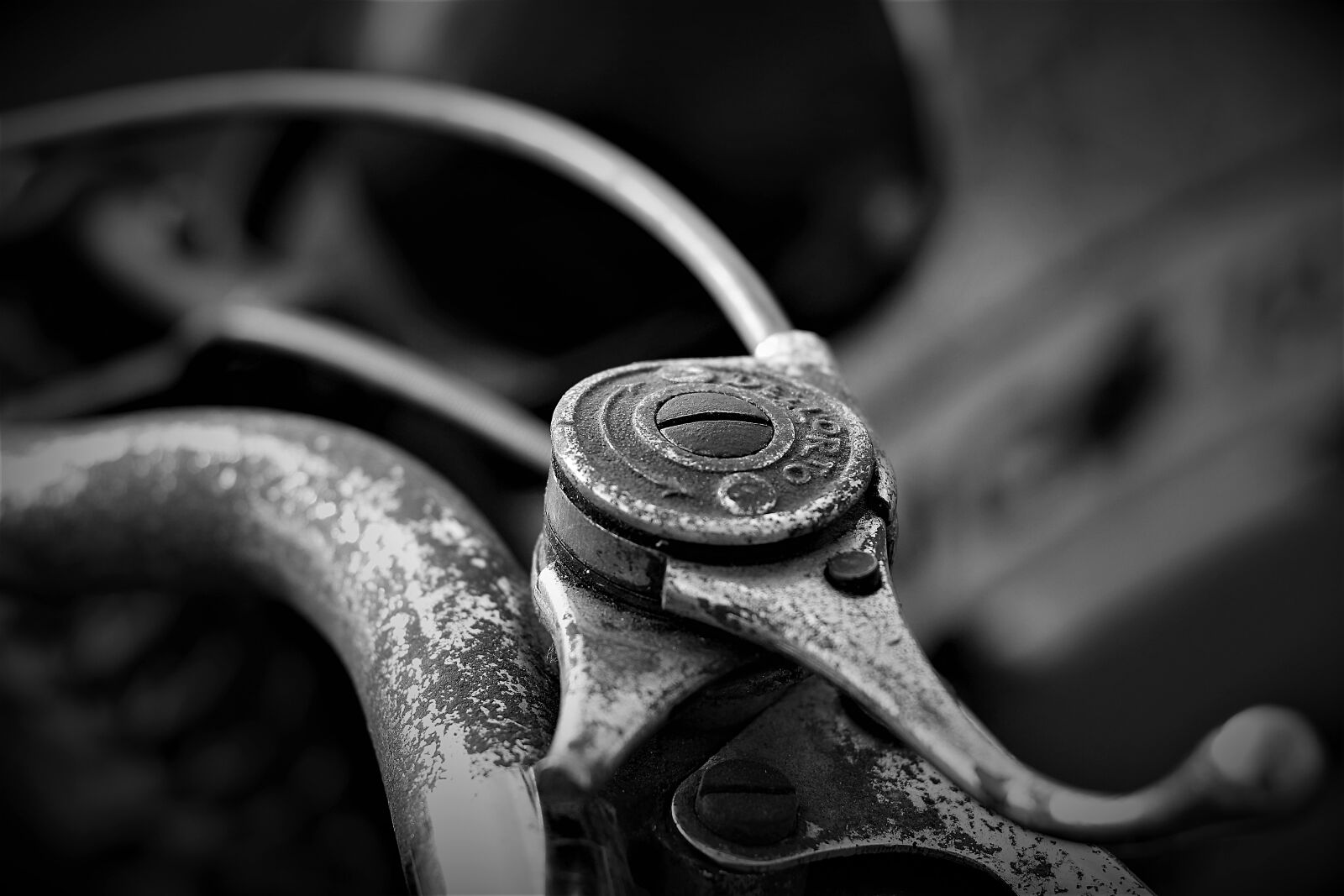 Nikon 1 J5 sample photo. Engine, moto guzzi, moto photography