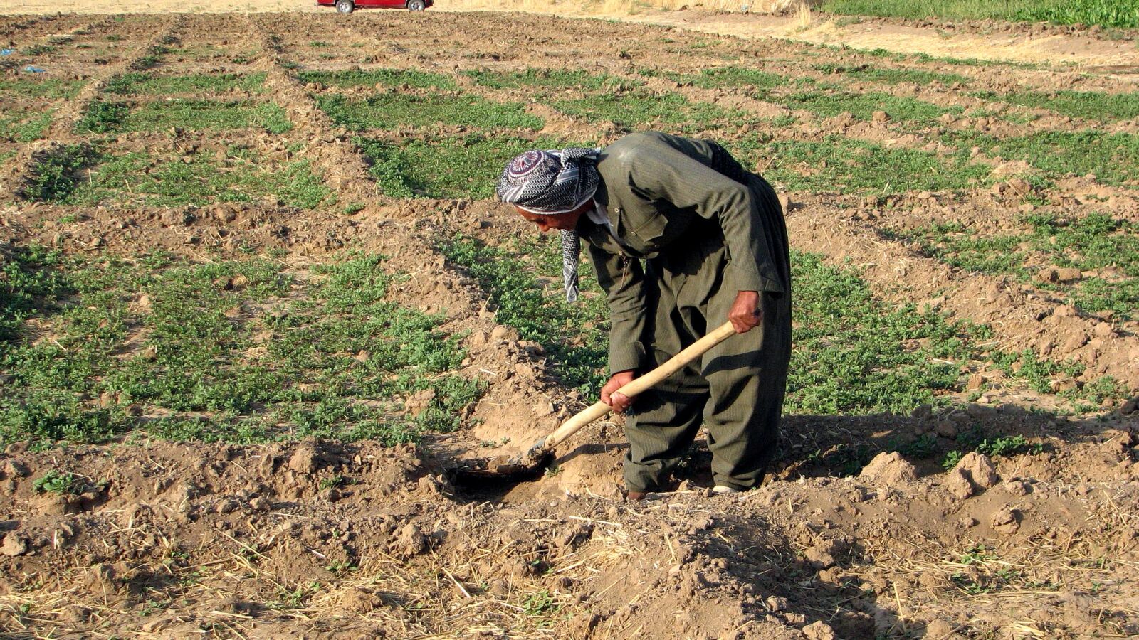 Canon POWERSHOT S3 IS sample photo. Kurdish, farmer, digging, earth photography