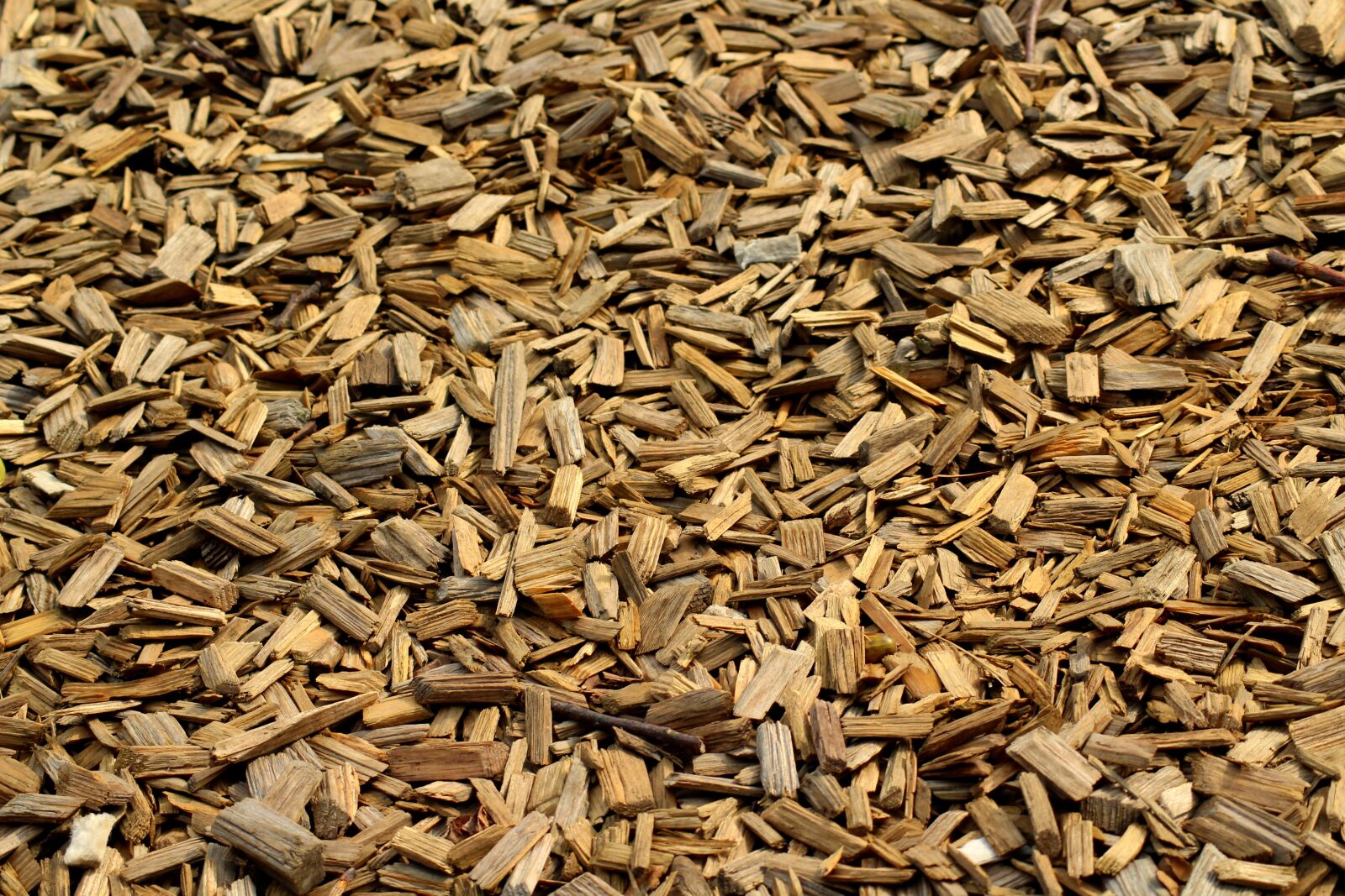 Canon EOS 1200D (EOS Rebel T5 / EOS Kiss X70 / EOS Hi) sample photo. Wood, texture, the structure photography